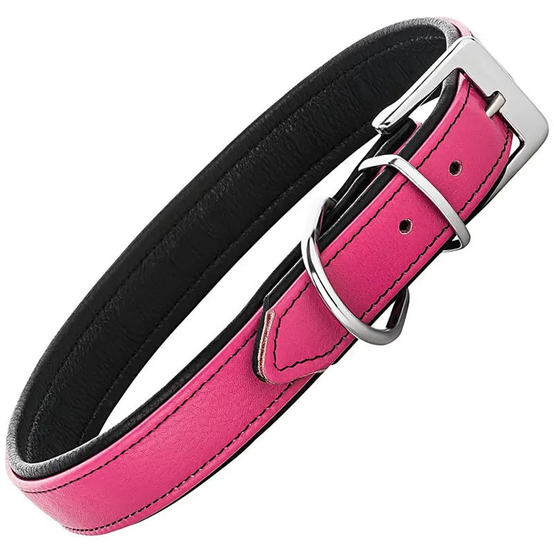 Produktfoto Freisteller Hundehalsband farbig Produktfoto Freisteller Halsband Hunde