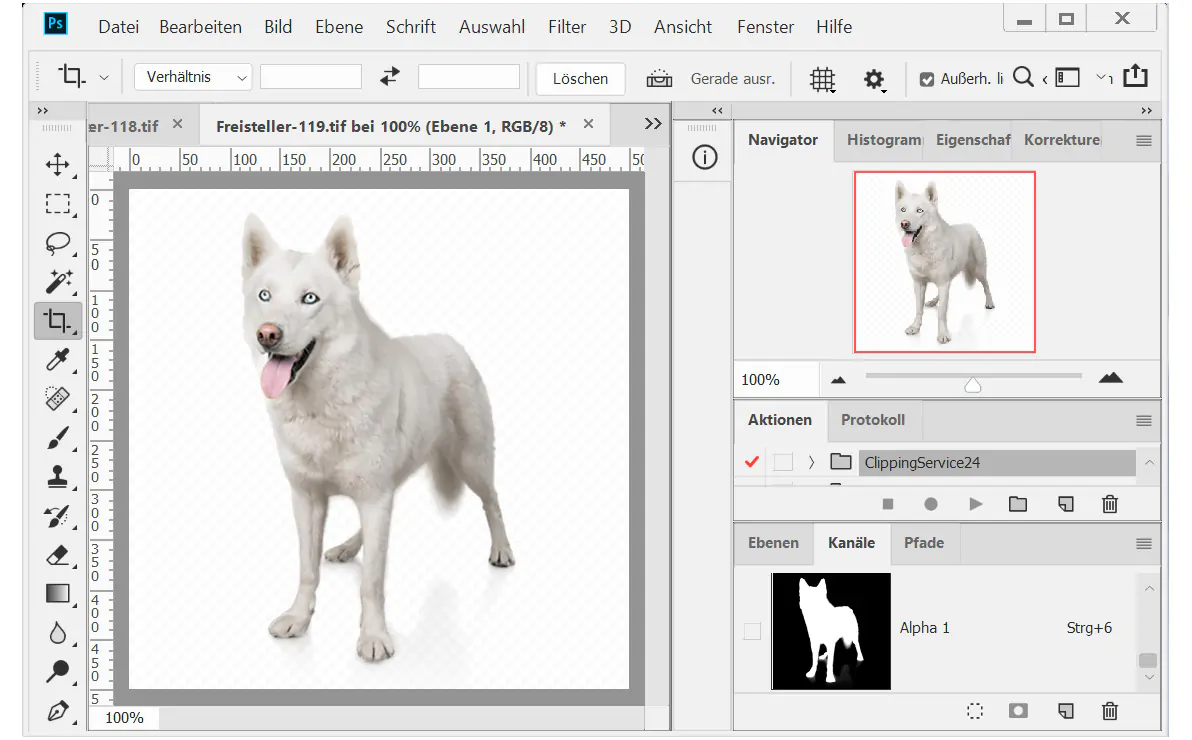 Bildhintergrund entfernen mit Alphakanal Softmasking Hund Hundefell Bildhintergrund entfernen mit Alphakanal Softmasking Hund Hundefell